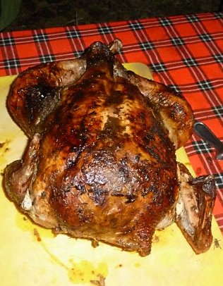 Thanksgiving Turkey