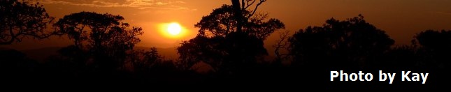 African sunset destined to travel