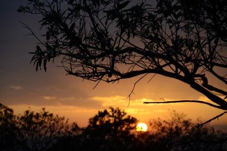 Incredible African Sunset my africa insights